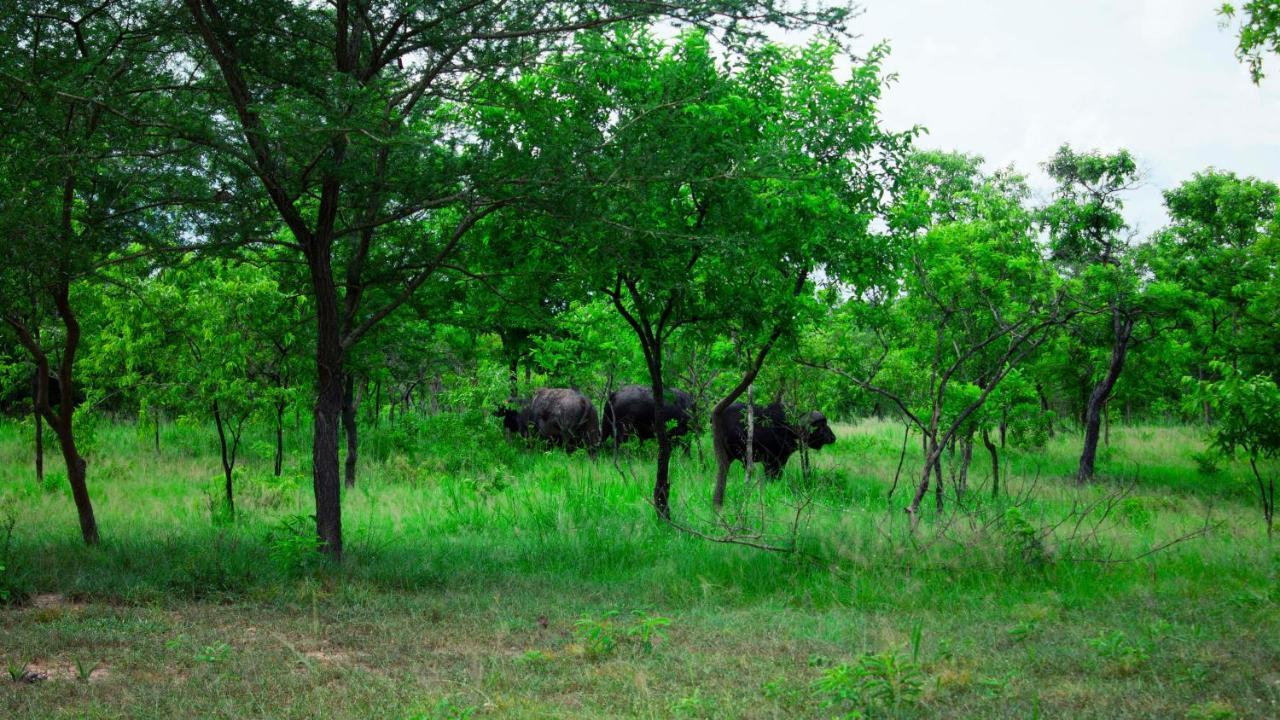 Mantis Lodge & Camping Site Morogoro Bagian luar foto